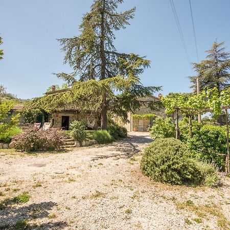 Appartamento Gemma Verde-Tavoleto Castiglione d'Orcia Ngoại thất bức ảnh