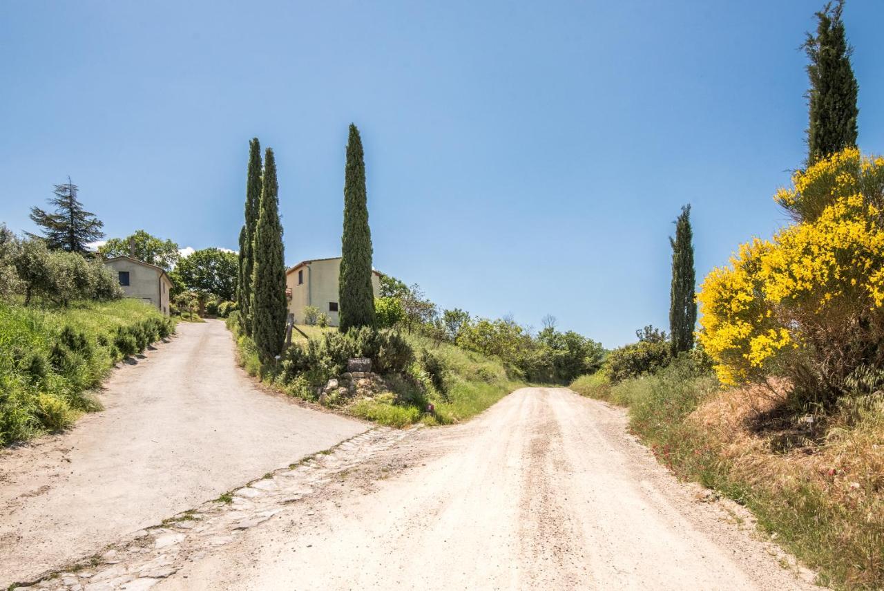 Appartamento Gemma Verde-Tavoleto Castiglione d'Orcia Ngoại thất bức ảnh