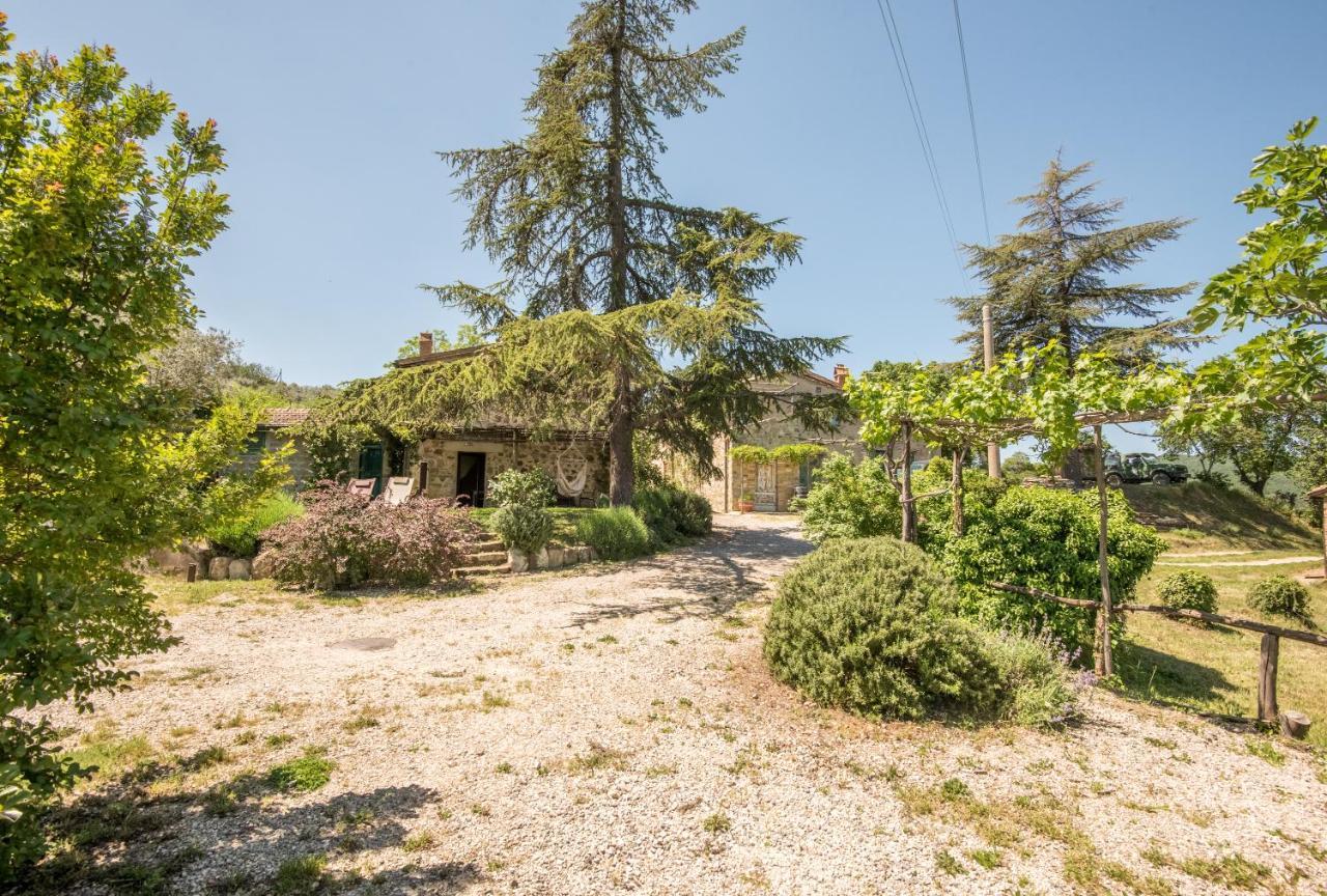 Appartamento Gemma Verde-Tavoleto Castiglione d'Orcia Ngoại thất bức ảnh