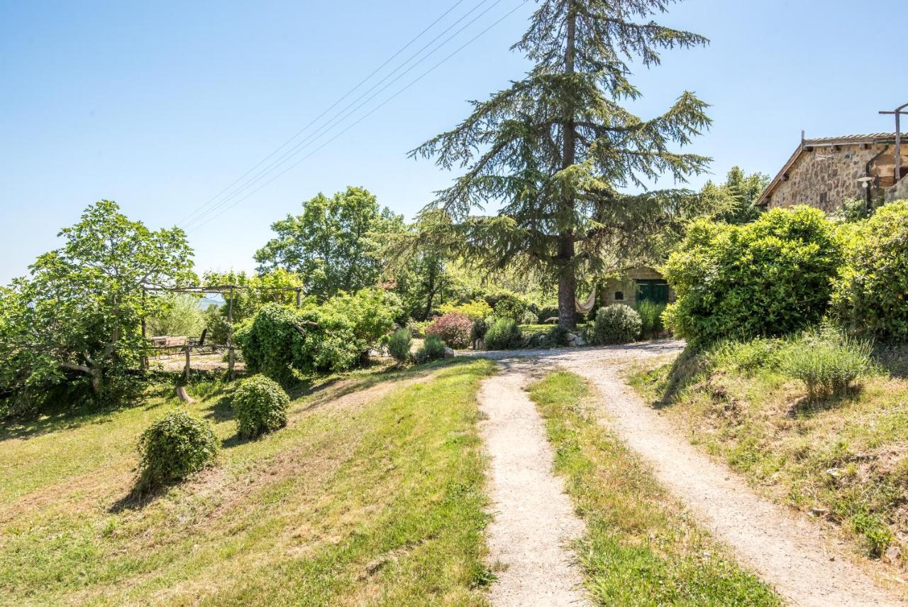 Appartamento Gemma Verde-Tavoleto Castiglione d'Orcia Ngoại thất bức ảnh